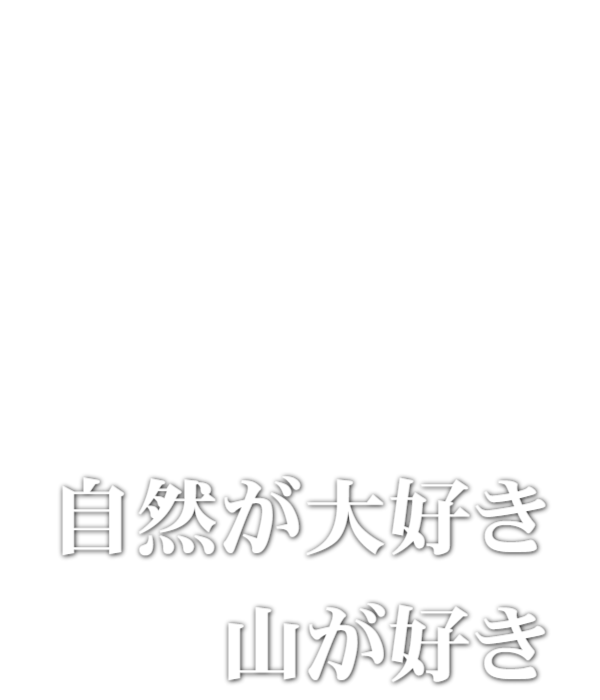 REPORT